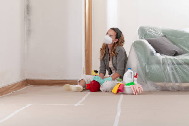Reliable Mold Remediation contractor in Pequannock, NJ by Mold Remediation HQ